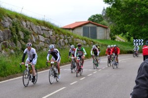 DSC_3873 (FILEminimizer)