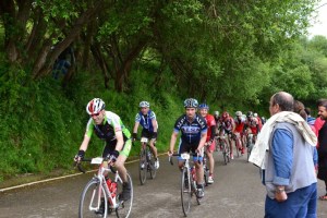 DSC_3979 (FILEminimizer)